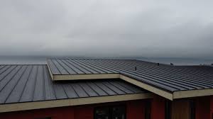 Best Rubber Roofing (EPDM, TPO)  in Schulenburg, TX